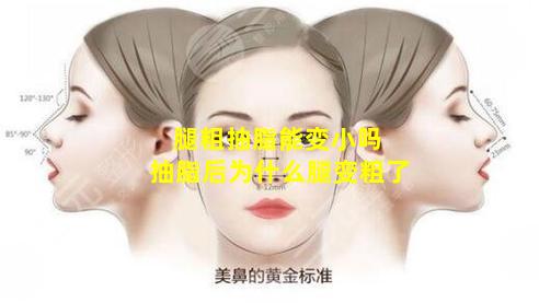 腿粗抽脂能变小吗 抽脂后为什么腿变粗了